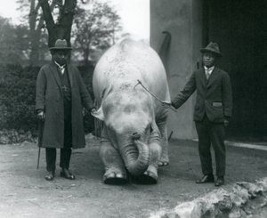 Elefante Albino Blanco Pawah con el Dr. Saw Po Min y su hijo, Zoológico de Londres, mayo de 1926 de Frederick William Bond