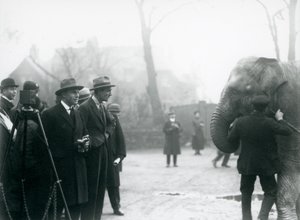 Un elefante indio, posiblemente Sundermalah, participando en una transmisión exterior desde el Zoológico de Londres, 1925 de Frederick William Bond