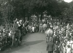 Paseos en Elefante, con tres elefantes asiáticos observados por multitudes de espectadores en el Zoológico de Londres en agosto de 1926 de Frederick William Bond