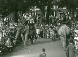 Paseos en Elefante, con dos elefantes asiáticos observados por multitudes de espectadores en el Zoológico de Londres en agosto de 1926 de Frederick William Bond