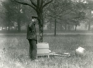 El cuidador Brown moviendo un enjambre de abejas, Zoológico de Londres, julio de 1926 de Frederick William Bond