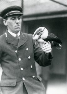 El cuidador, Thomas Raggett, sosteniendo un tucán de pico rojo con un huevo en la boca en el Zoológico de Londres en 1924