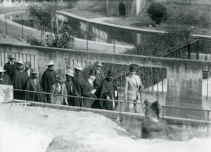 Sir Peter Chalmers Mitchell, con el Regente Etíope Haile Selassie y su Séquito, Observando un Oso Pardo en las Terrazas Mappin, Zoológico de Londres, 1924