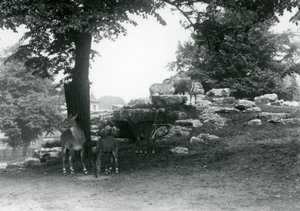 El corral de antílopes Eland en el Zoológico de Londres en 1924