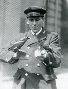 Dos Pájaros Myna en las Manos del Guardián Thomas Raggett, Zoológico de Londres, Junio de 1924