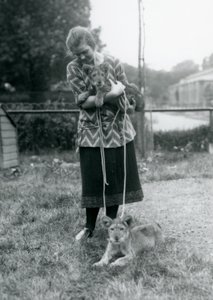 Dos cachorros de león con una joven en el Zoológico de Londres en agosto de 1925 de Frederick William Bond