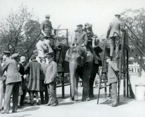 Visitantes haciendo fila para un paseo en elefante mientras otros embarcan, con la ayuda de cinco cuidadores, Zoológico de Londres, 1927 de Frederick William Bond
