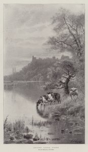 Castillo de Arundel, Sussex