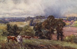 Leamington y Warwick desde las Colinas Campion de Frederick William Newton Whitehead