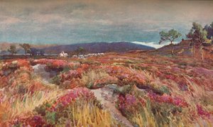 En el páramo Lytchett Minster, c. 1904 de Frederick William Newton Whitehead