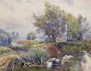 El Avon, debajo de Stratford-on-Avon