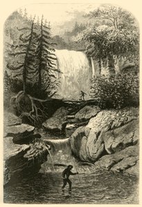 Cataratas del Blackwater, 1872 de Frederick William Quartley