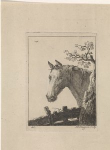 cabeza de un caballo de Frederik Lodewijk Huygens