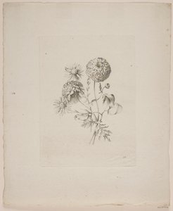 Motivo floral de Frederik Schepelern