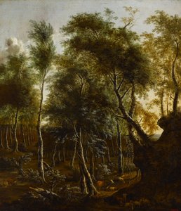 Un paisaje boscoso