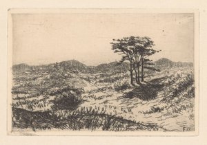 Paisaje de colinas con tres pinos de Frederik van Eeden