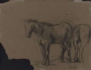 Caballos de French 19th Century