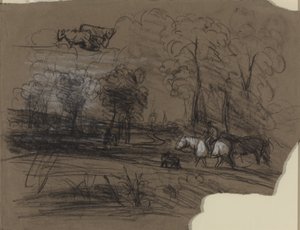 Jinete en el campo