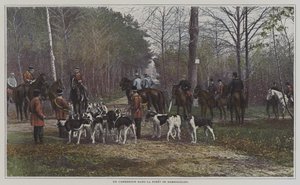 Un cruce de caminos en el Bosque de Rambouillet, Francia de French Photographer