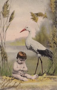 Bebé con cigüeña de French Photographer