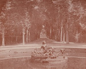 Fuente de Flora, Parque de Versalles de French Photographer