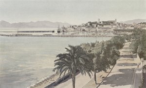 Cannes, Puerto y Ciudad antigua, Boulevard de la Croisette de French Photographer