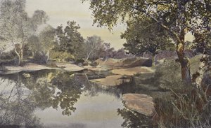 Fontainebleau, Bosque, Charca de Franchard de French Photographer