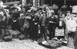 Jardineros del mercado de Les Halles, París, 1907 de French Photographer