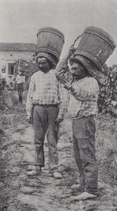 Vendimiadores trabajando de French Photographer