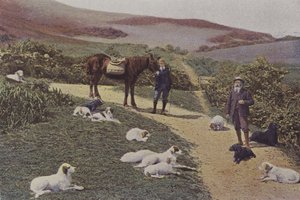 Caza de urogallos en Escocia de French Photographer
