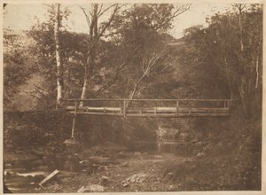 Paisaje con árboles y puente,c. 1850 (foto) de French Photographer
