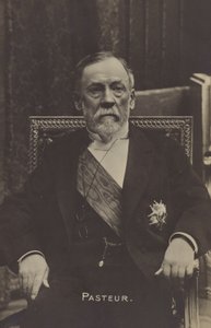 Louis Pasteur (1822-1895), químico y microbiólogo francés de French Photographer