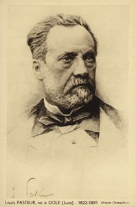 Louis Pasteur (1822-1895), químico y microbiólogo francés de French Photographer