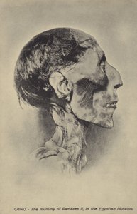 Momia de Ramsés II