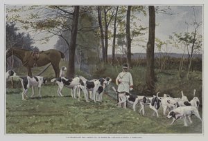 Manada de perros de caza del Barón de Carayon-Latour en Virelade, Francia de French Photographer