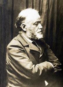 Retrato de Henri Fantin Latour (Fantin-Latour de French Photographer