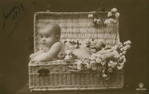 Bebé en una cesta de mimbre con flores de French Photographer