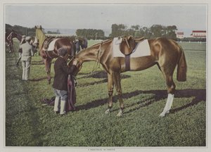 Caballos de carrera en Deauville, Francia de French Photographer