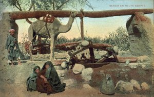 Sakia, Alto Egipto (foto en color) de French Photographer