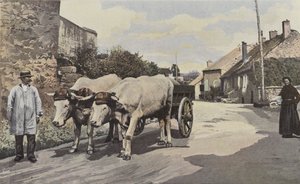 Saulieu, Un carruaje en el Morvan
