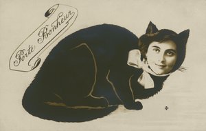 Gato Surrealista, con Cara de Chica Bonita