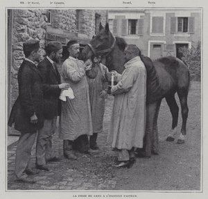 Tomando una muestra de sangre de un caballo en el Instituto Pasteur, París