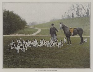 Los beagles del Conde Cowley de French Photographer