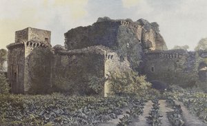 Tiffauges, Ruinas del Castillo, Vista tomada del patio de French Photographer