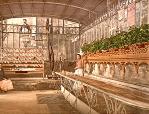 Agua de manantial de Vichy vendida por vaso en la fuente Celestine, 1890-1900