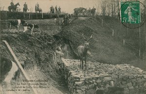 Villers-Cotterets. La Foret - Equipage Menier Hallali de Cerf a silly-la-Poterie