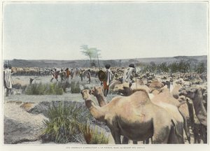 Abrevando los camellos en la fuente del desierto de French Photographer