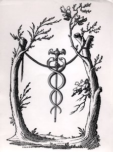 Un caduceo de French School