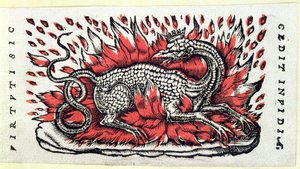 Una Salamandra, primera mitad del siglo XVI de French School