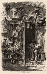 Una tienda en Pará, ilustración del viaje del Sr. Biard a Brasil en 1858-1859. Grabado en “Le tour du monde” 1861. Colección de Selva de French School